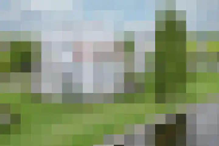Het Masker 170 Amersfoort thumbnail 47