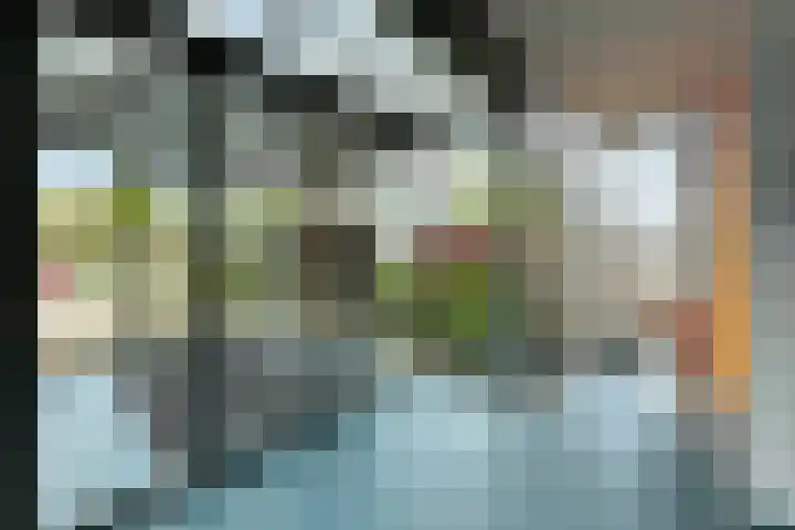 Het Masker 170 Amersfoort thumbnail 7
