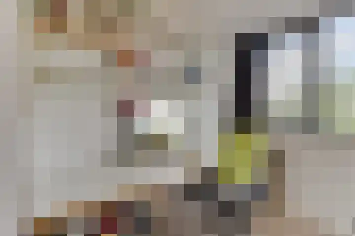 het Mat 7 Broek op Langedijk thumbnail 28