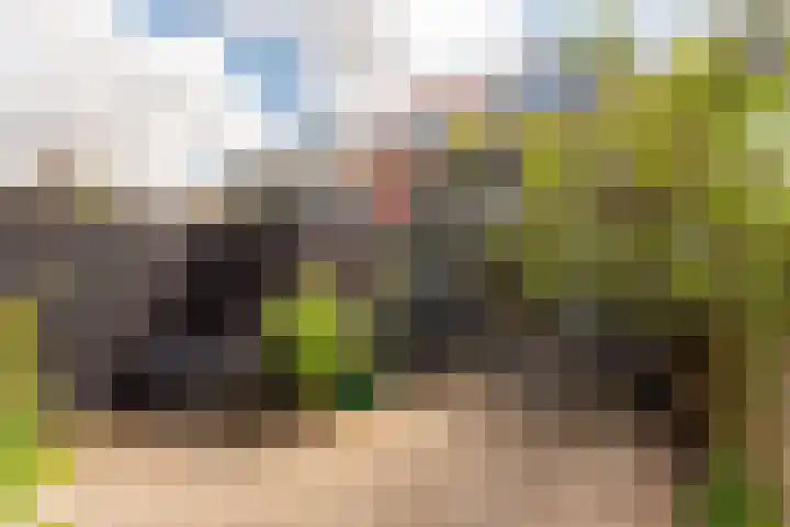 het Mat 7 Broek op Langedijk thumbnail 31