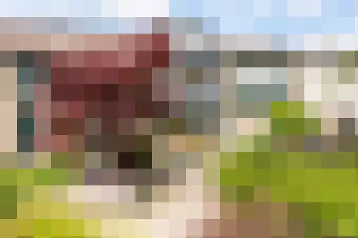 het Mat 7 Broek op Langedijk thumbnail 5