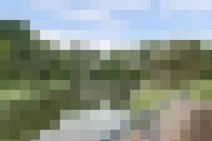Het Mauritsveld 4 Doesburg thumbnail 15