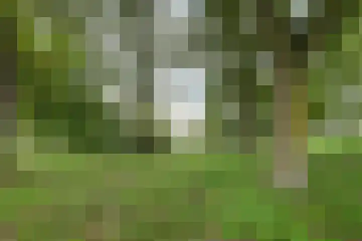 Het Mauritsveld 4 Doesburg thumbnail 41