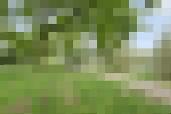 Het Mauritsveld 4 Doesburg thumbnail 42