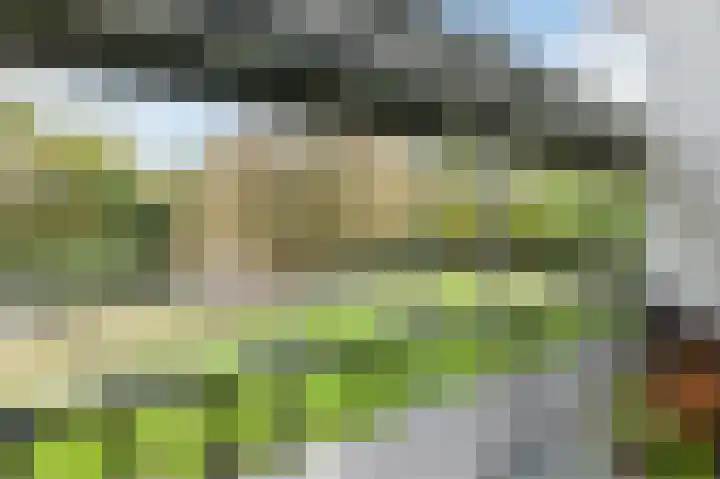 Het Mauritsveld 8 Doesburg thumbnail 25