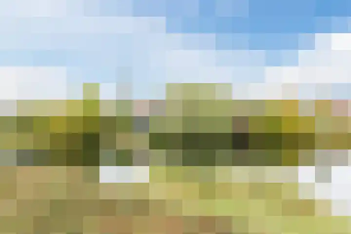 Het Mauritsveld 8 Doesburg thumbnail 32