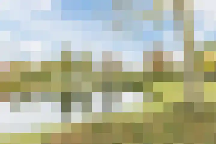 Het Mauritsveld 8 Doesburg thumbnail 33