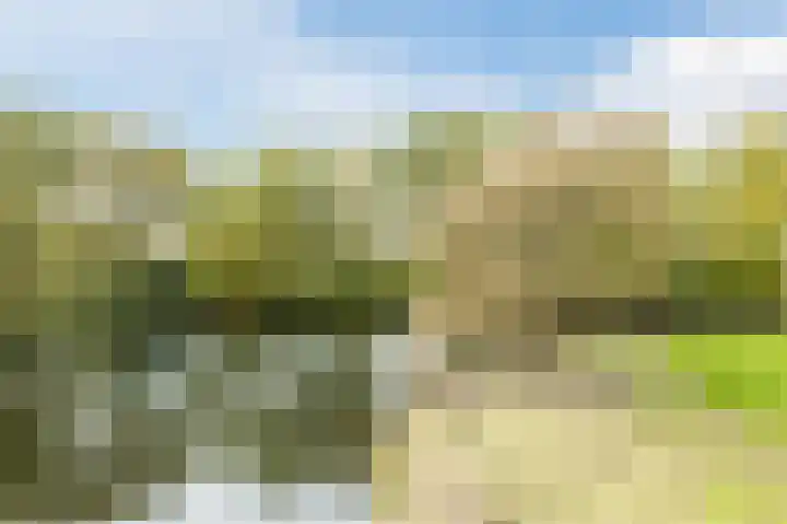 Het Mauritsveld 8 Doesburg thumbnail 34