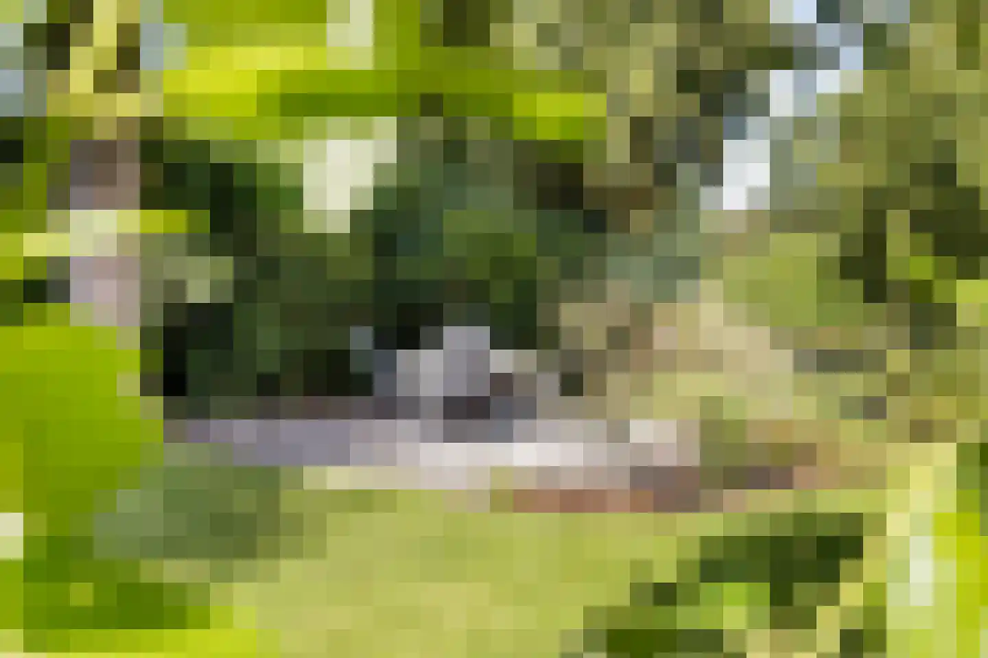 het Meer 109 Heerenveen thumbnail 11
