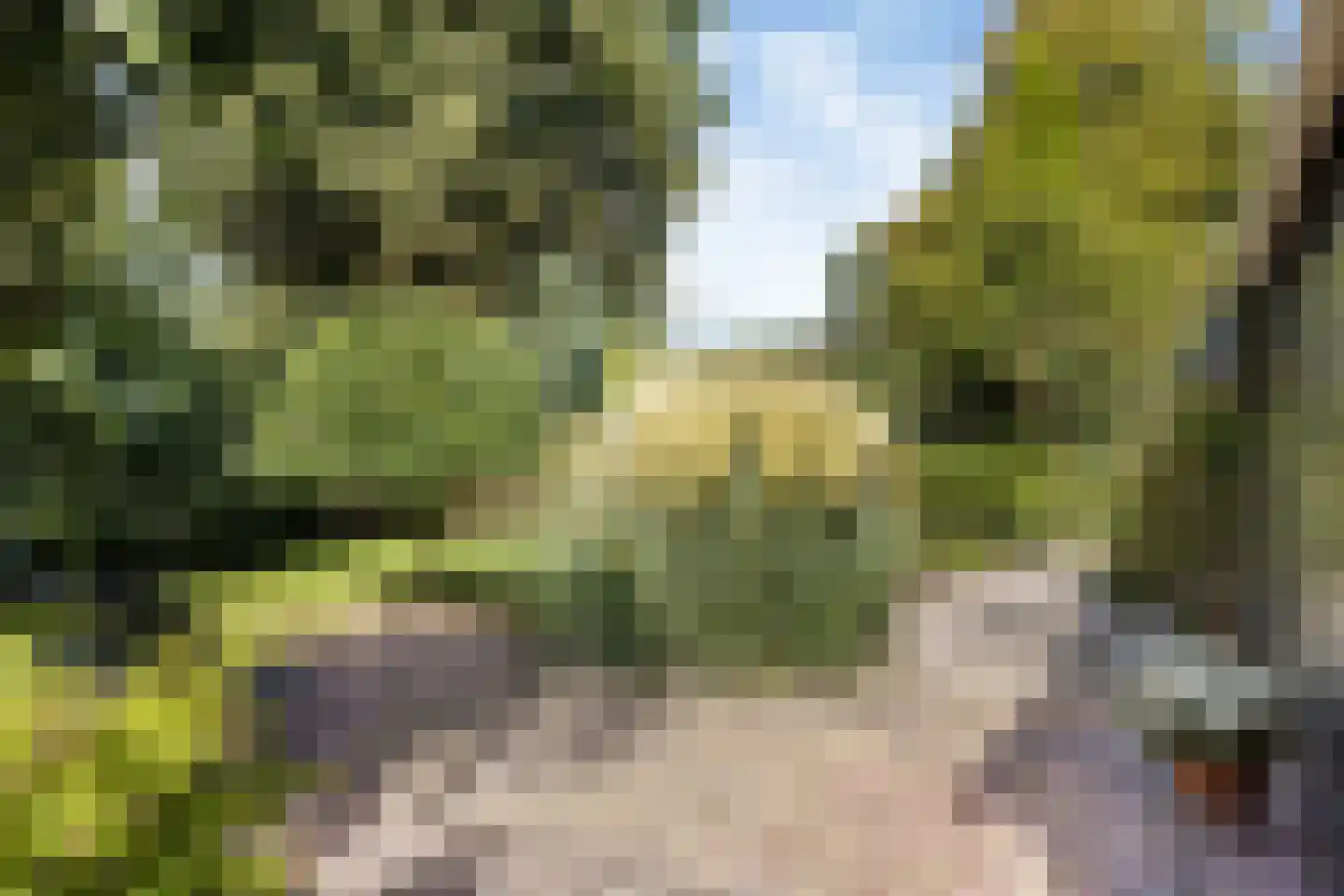 het Meer 109 Heerenveen thumbnail 12