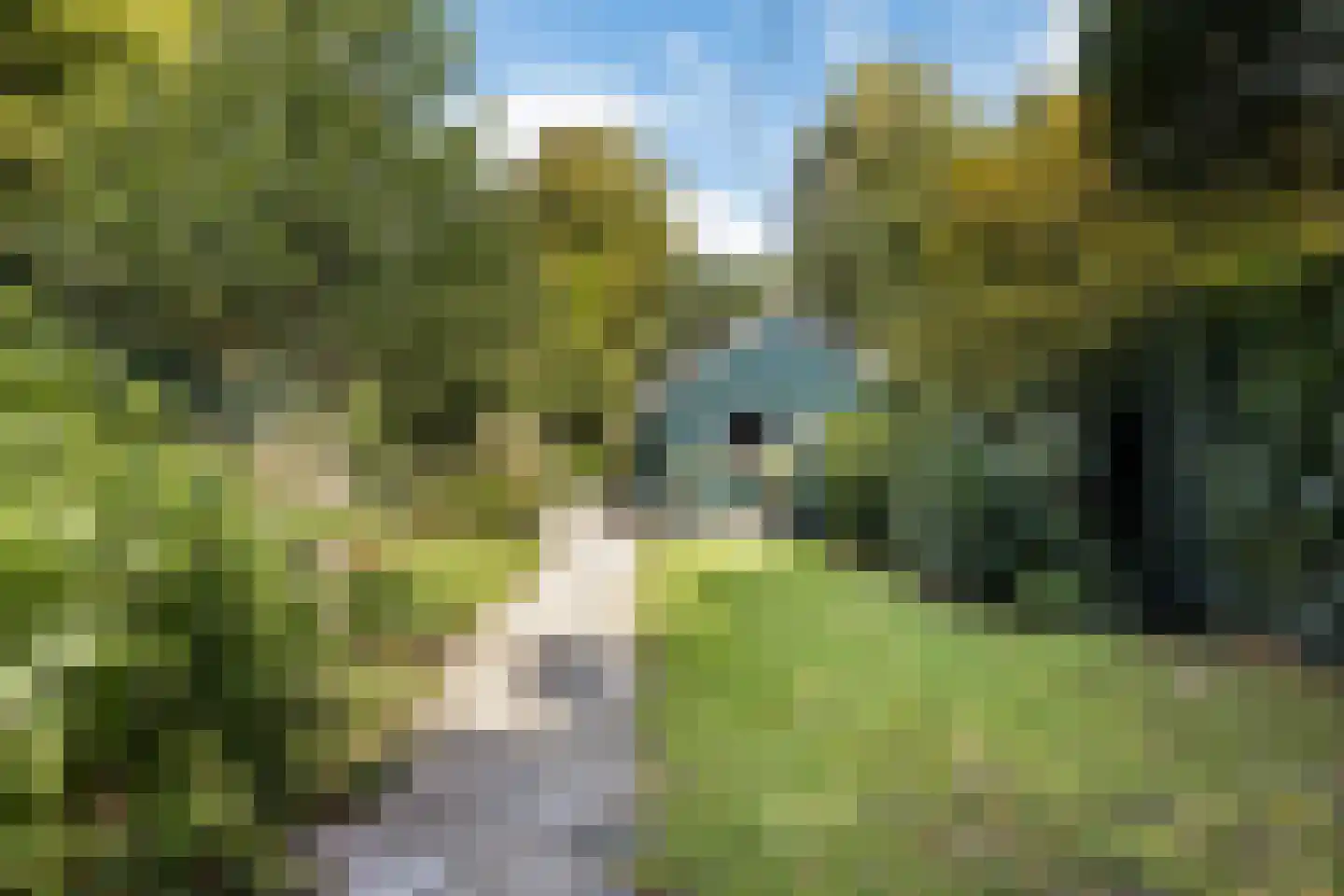 het Meer 109 Heerenveen thumbnail 5