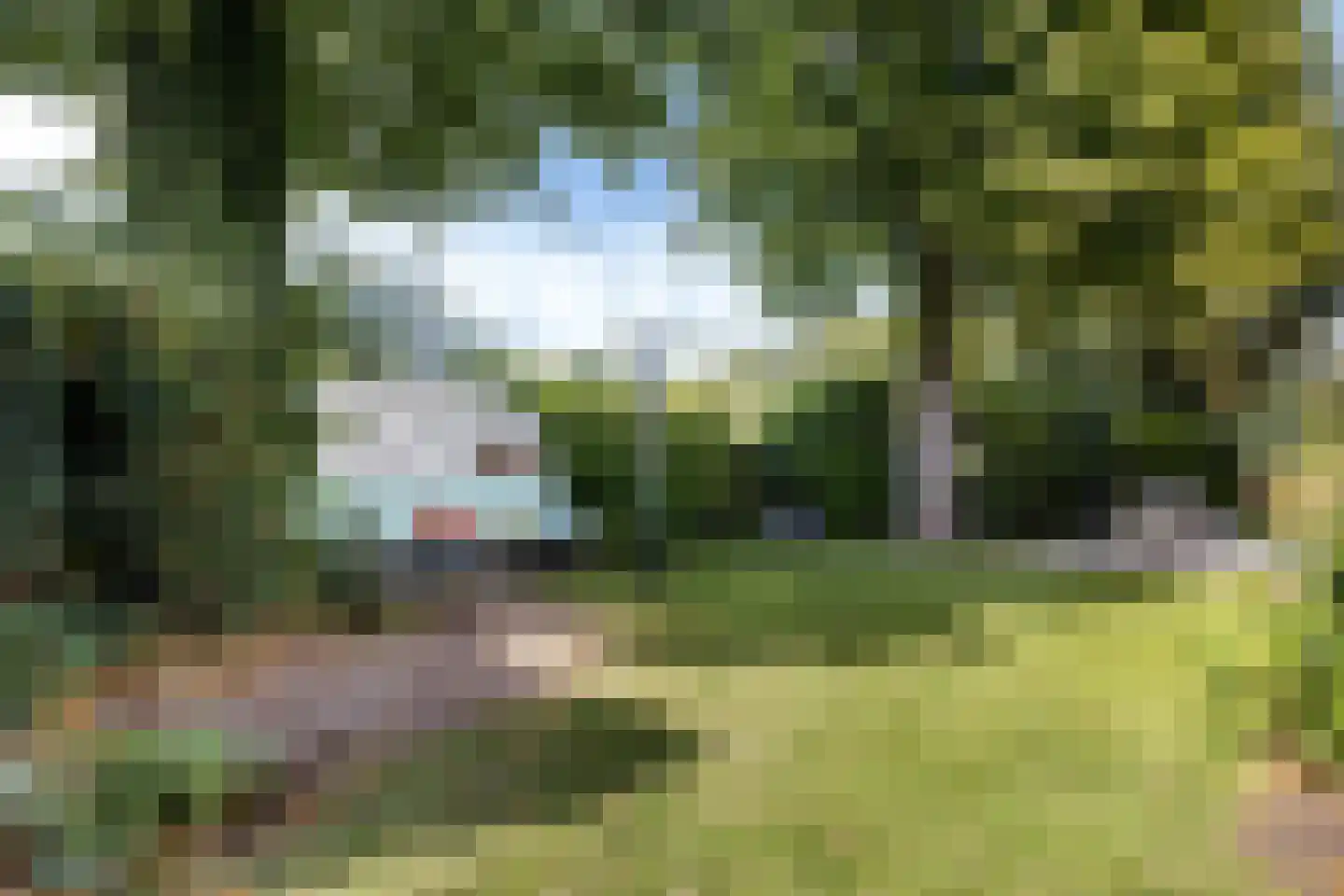 het Meer 109 Heerenveen thumbnail 60