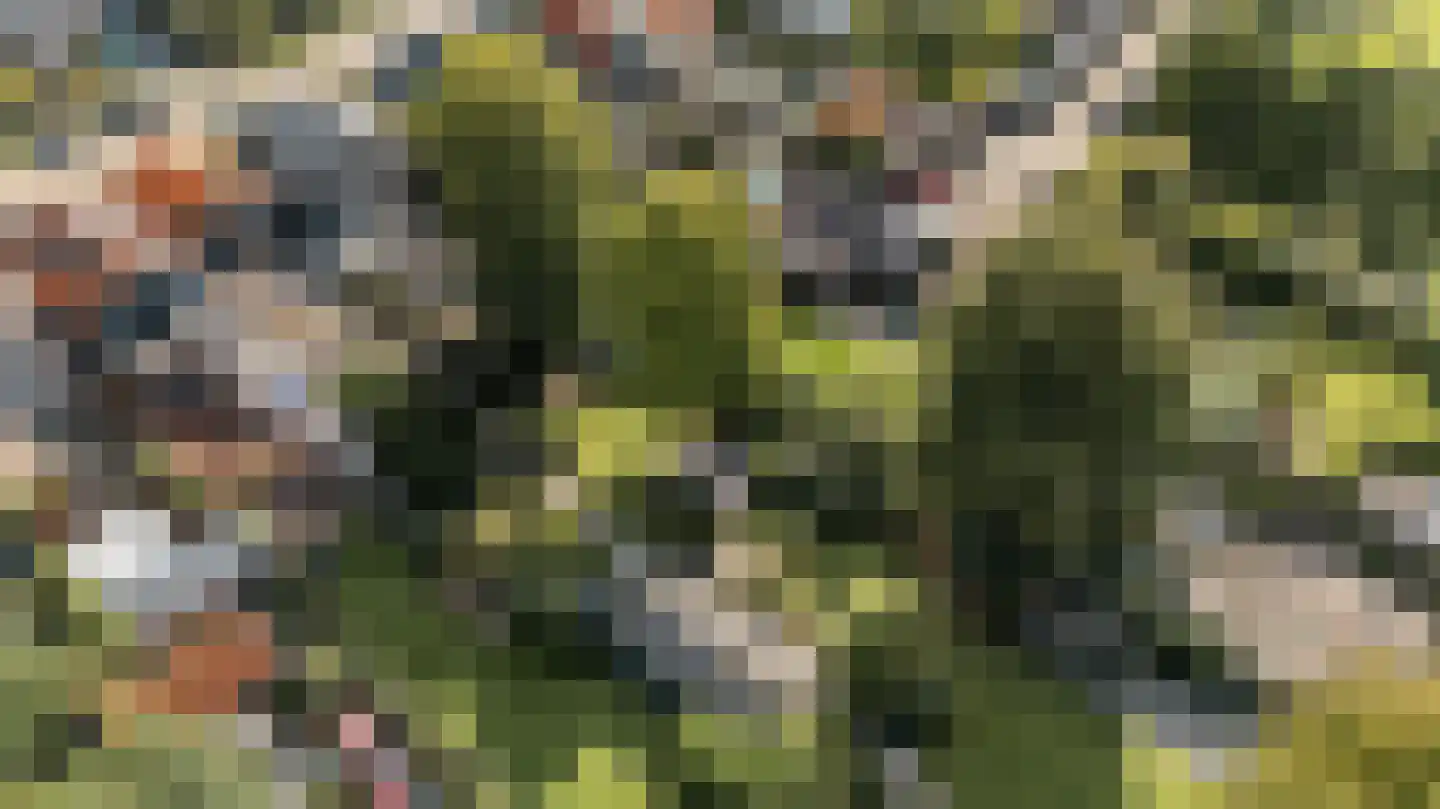 het Meer 109 Heerenveen thumbnail 66