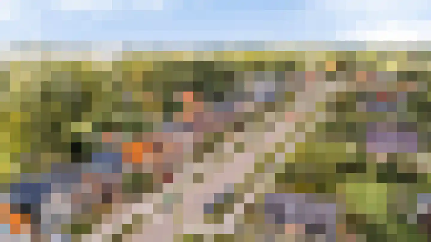 het Meer 109 Heerenveen thumbnail 71