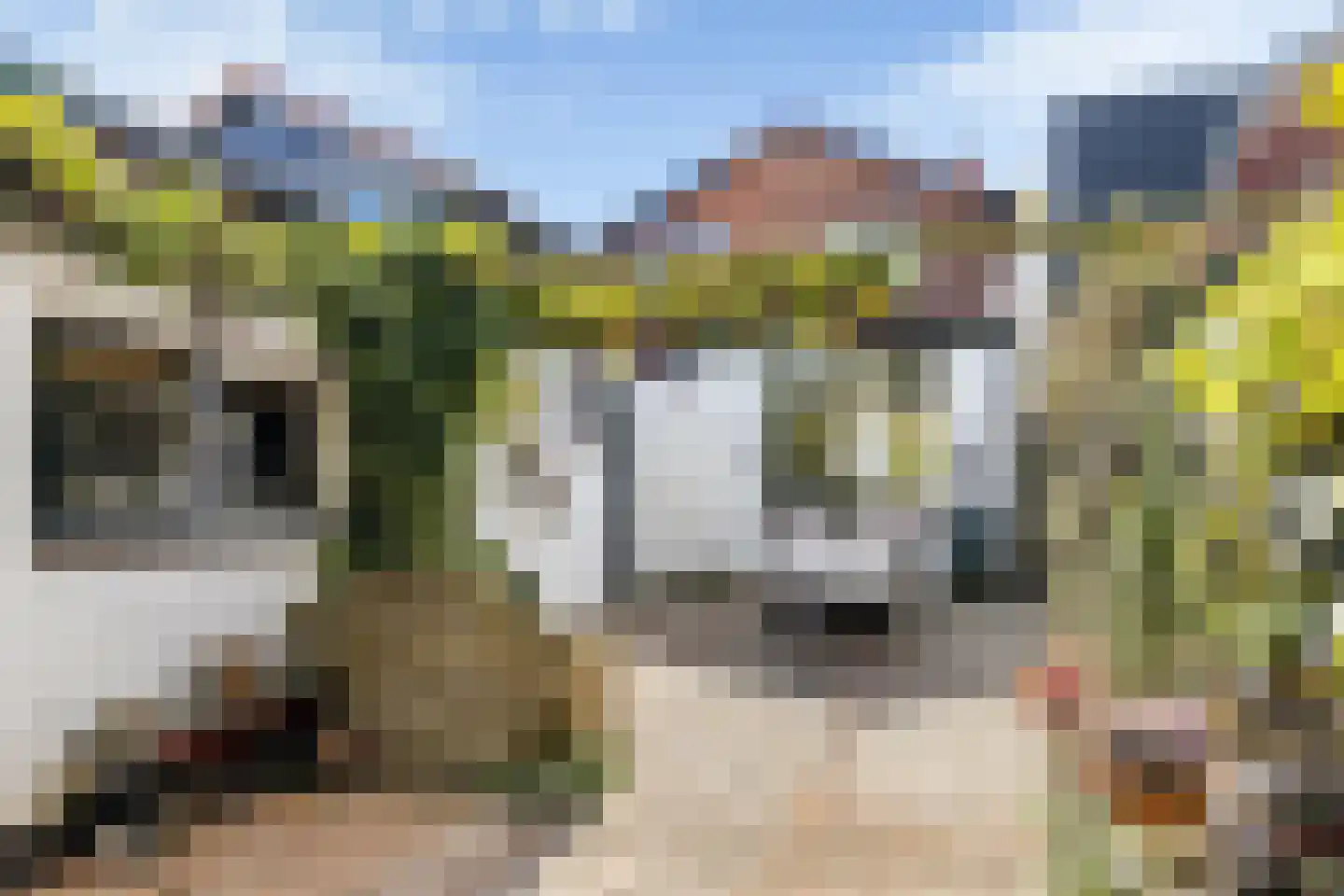 het Meer 109 Heerenveen thumbnail 9