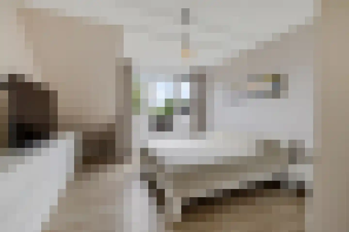 het Meer 243 E Heerenveen thumbnail 19