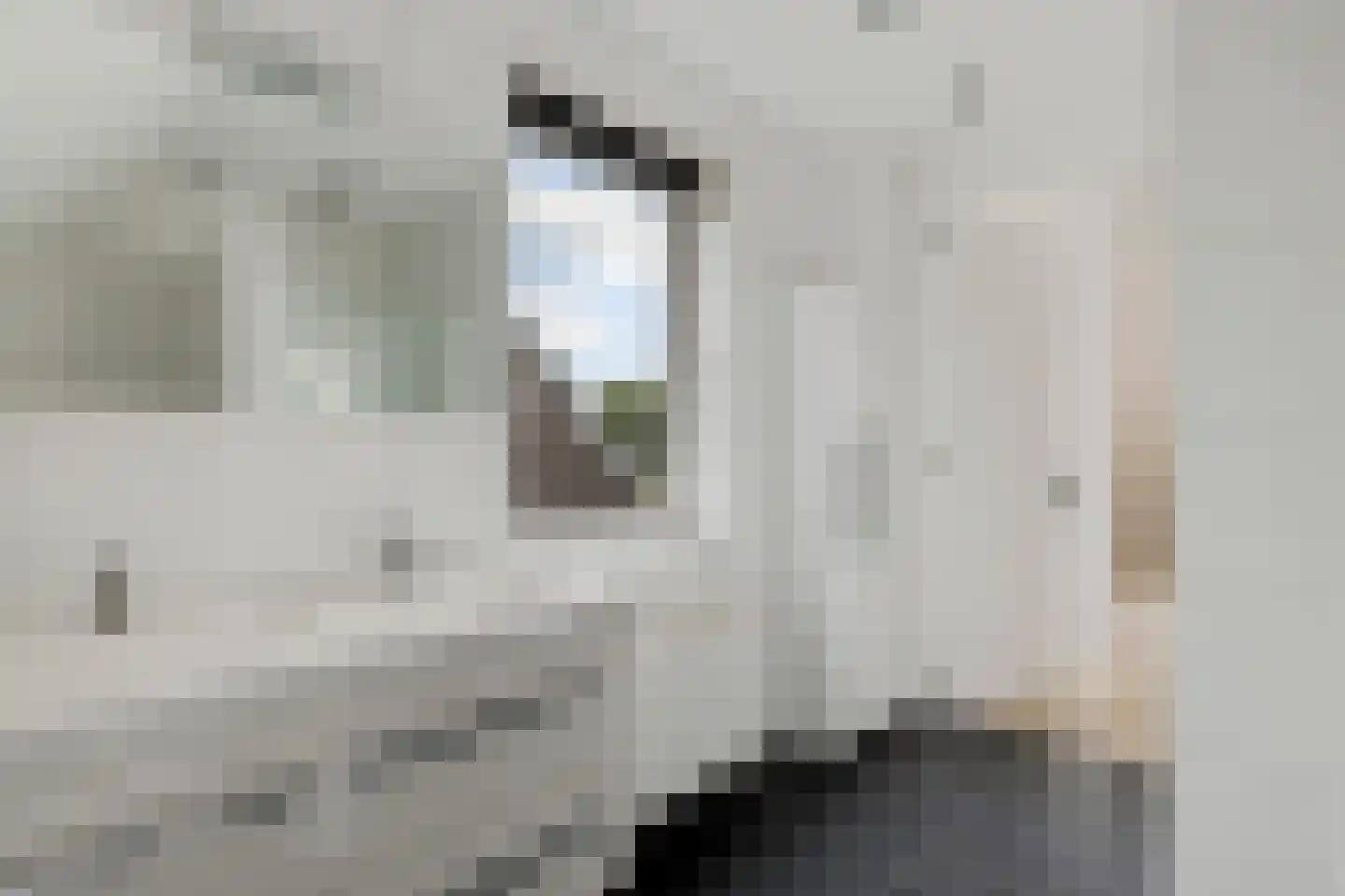 het Meer 243 E Heerenveen thumbnail 28