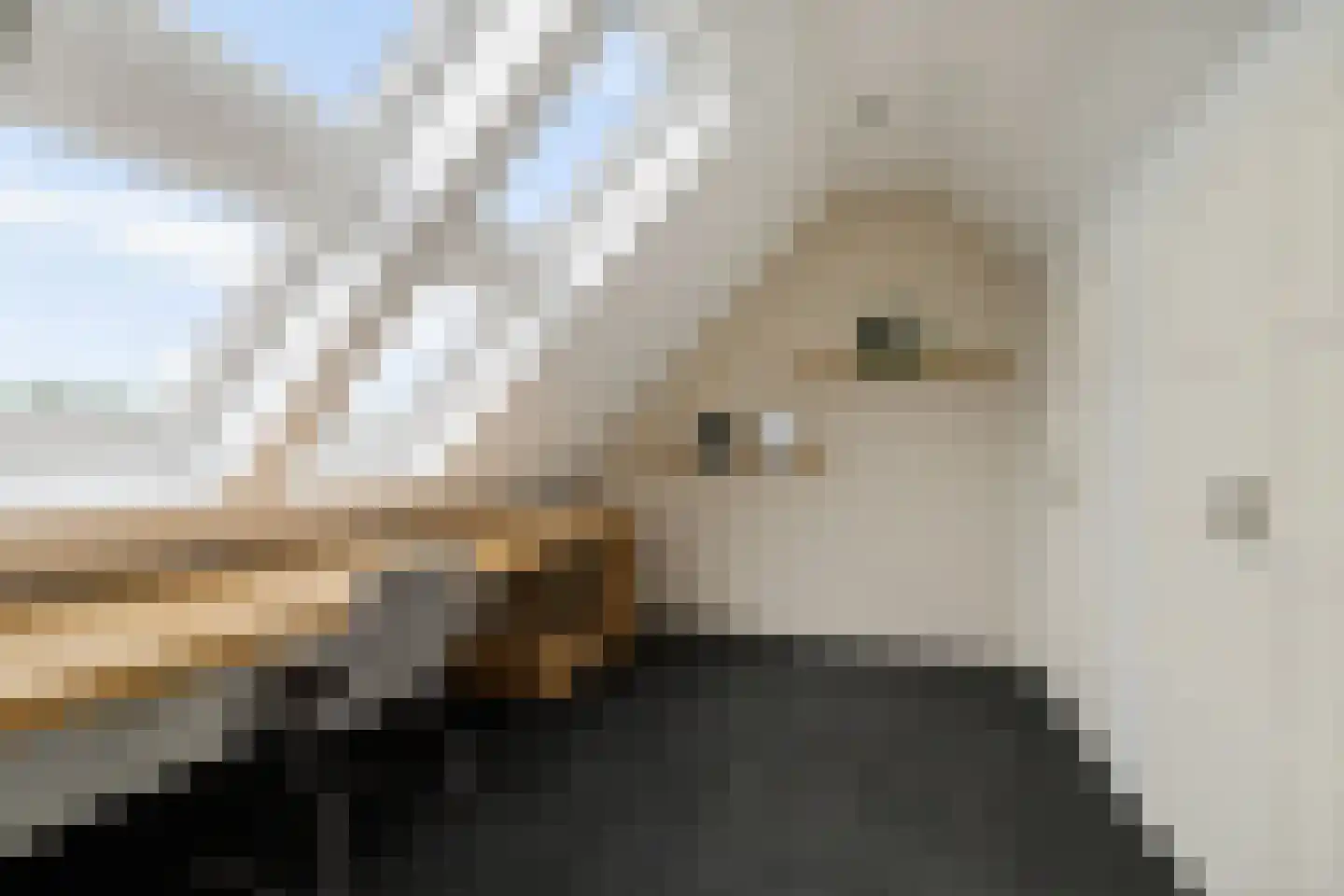het Meer 243 E Heerenveen thumbnail 31
