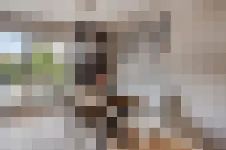 het Meer 243 F Heerenveen thumbnail 11