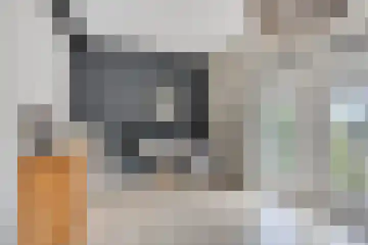 het Meer 243 F Heerenveen thumbnail 16