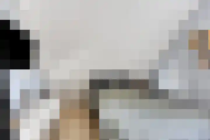het Meer 243 F Heerenveen thumbnail 19