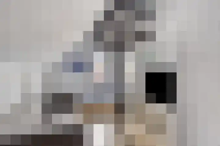 het Meer 243 F Heerenveen thumbnail 22