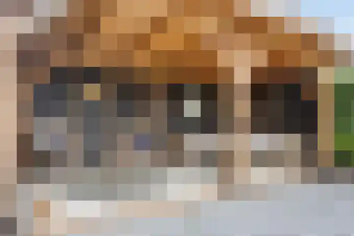 het Meer 243 F Heerenveen thumbnail 28