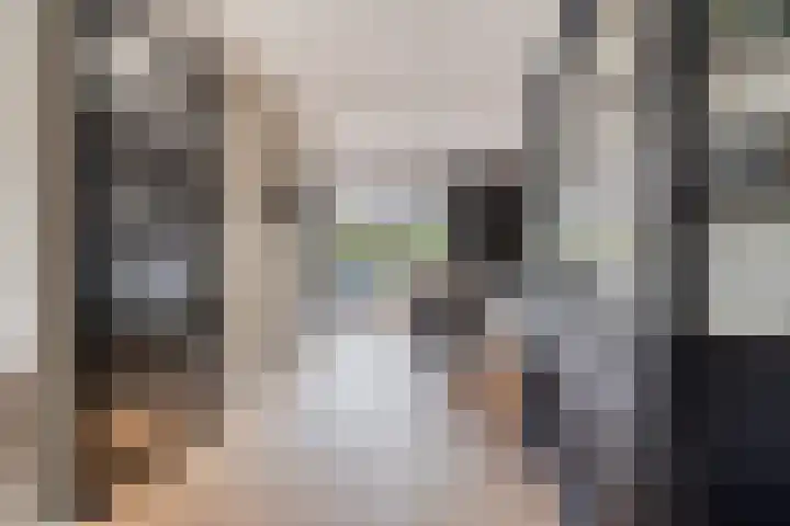 het Meer 243 F Heerenveen thumbnail 9