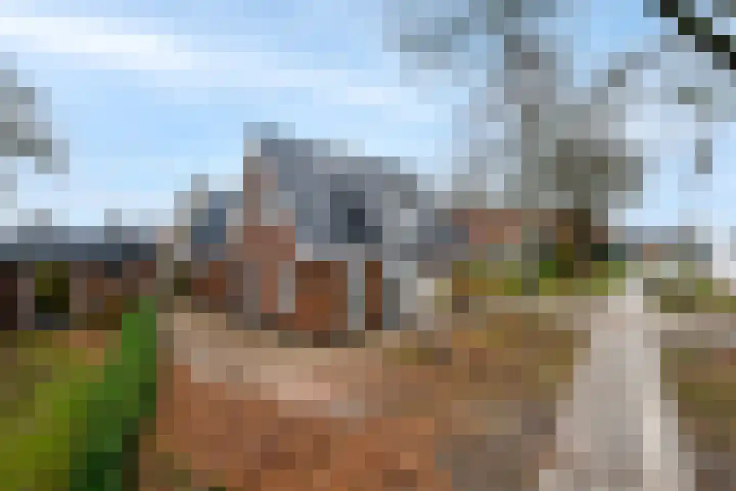 het Meer 257 Heerenveen thumbnail 39