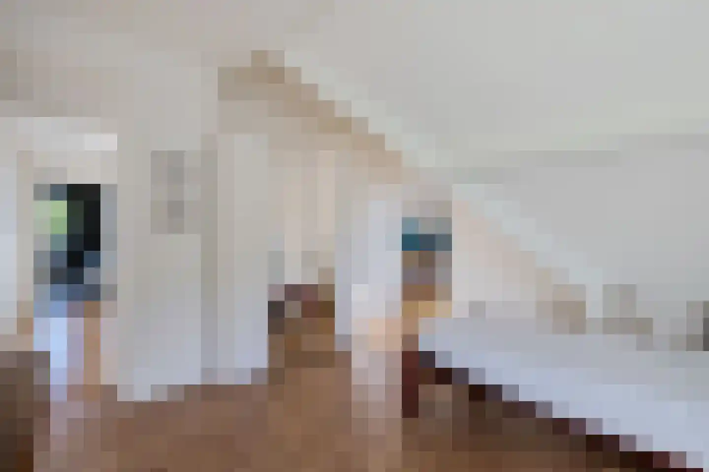 het Meer 62 A Heerenveen thumbnail 34