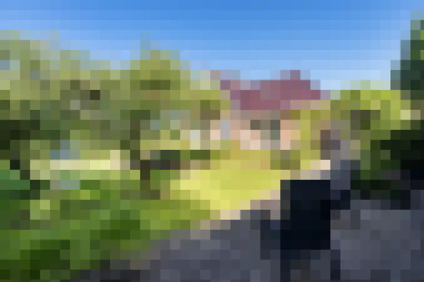 het Meer 62 A Heerenveen thumbnail 40