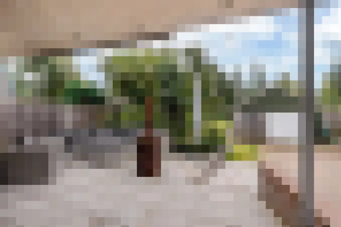 het Meer 94 Heerenveen thumbnail 19