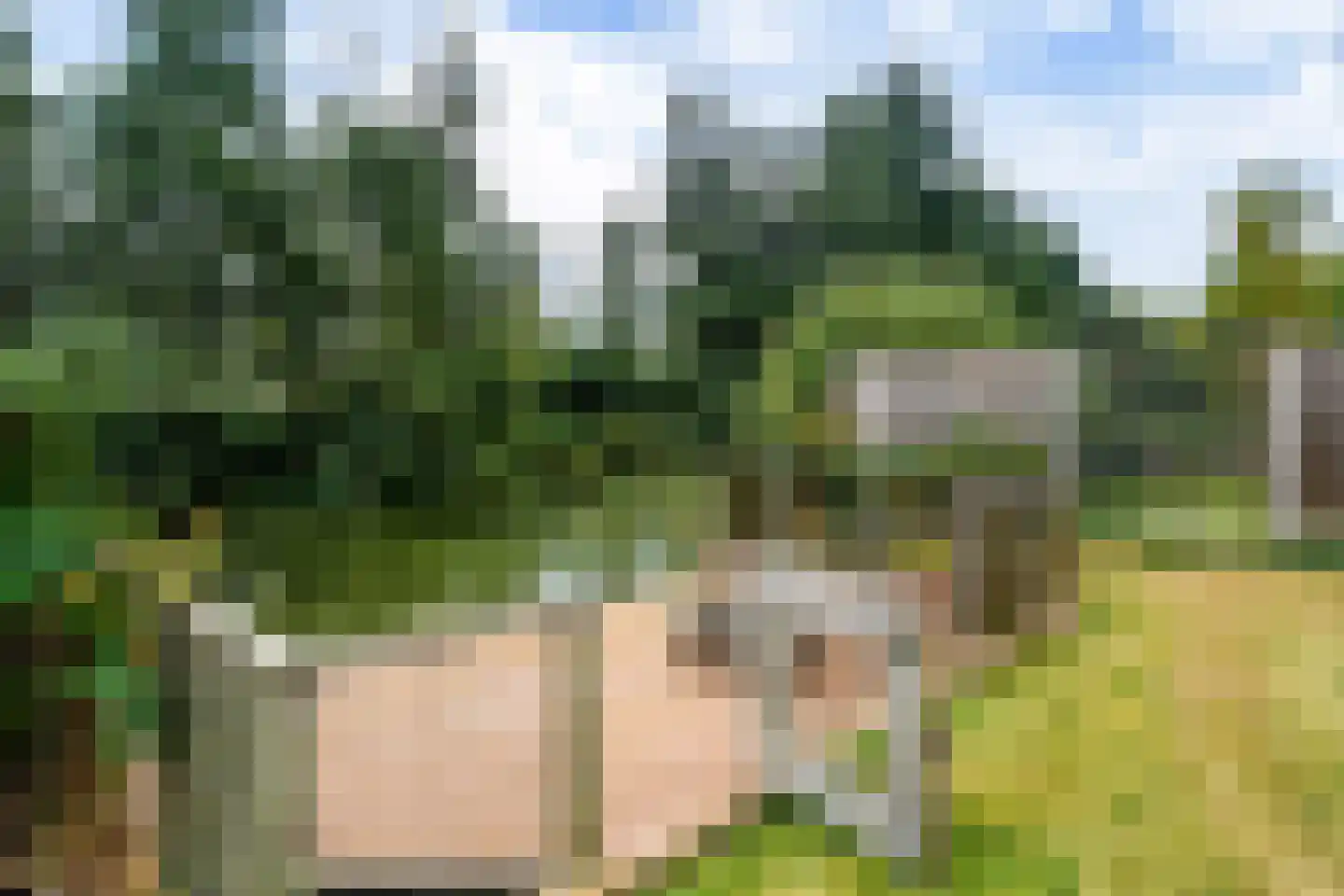 het Meer 94 Heerenveen thumbnail 5
