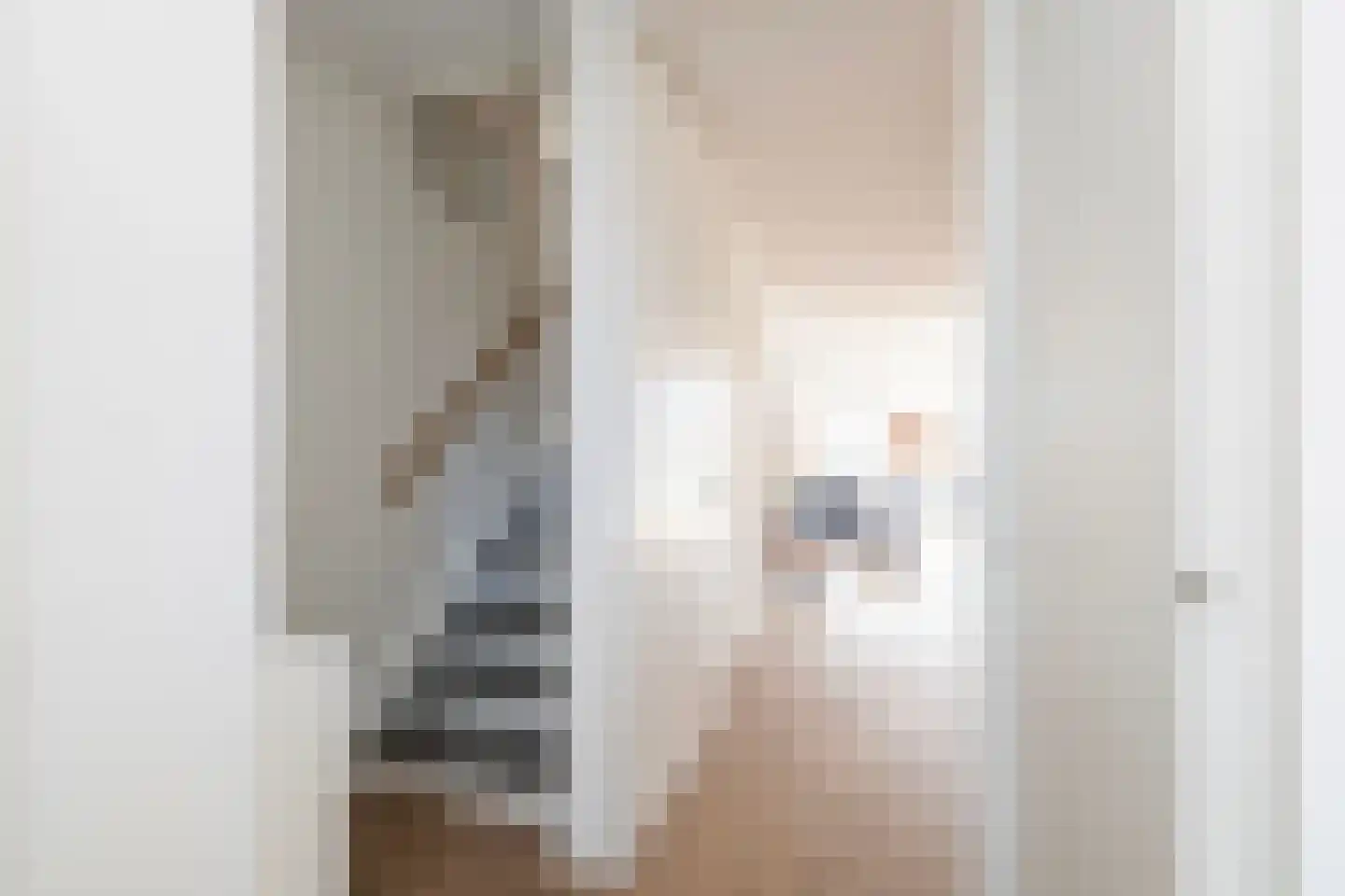 Het Melkmeisje 2 Dronten thumbnail 14