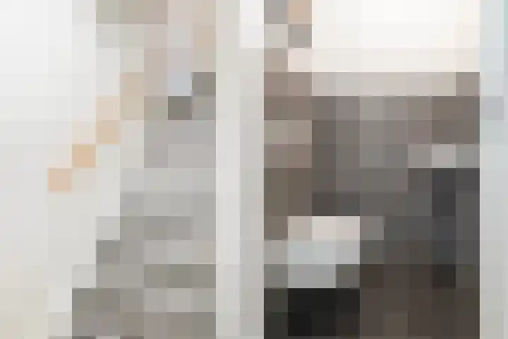 Het Melkmeisje 2 Dronten thumbnail 15