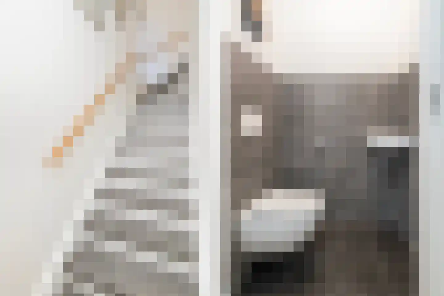 Het Melkmeisje 2 Dronten thumbnail 15