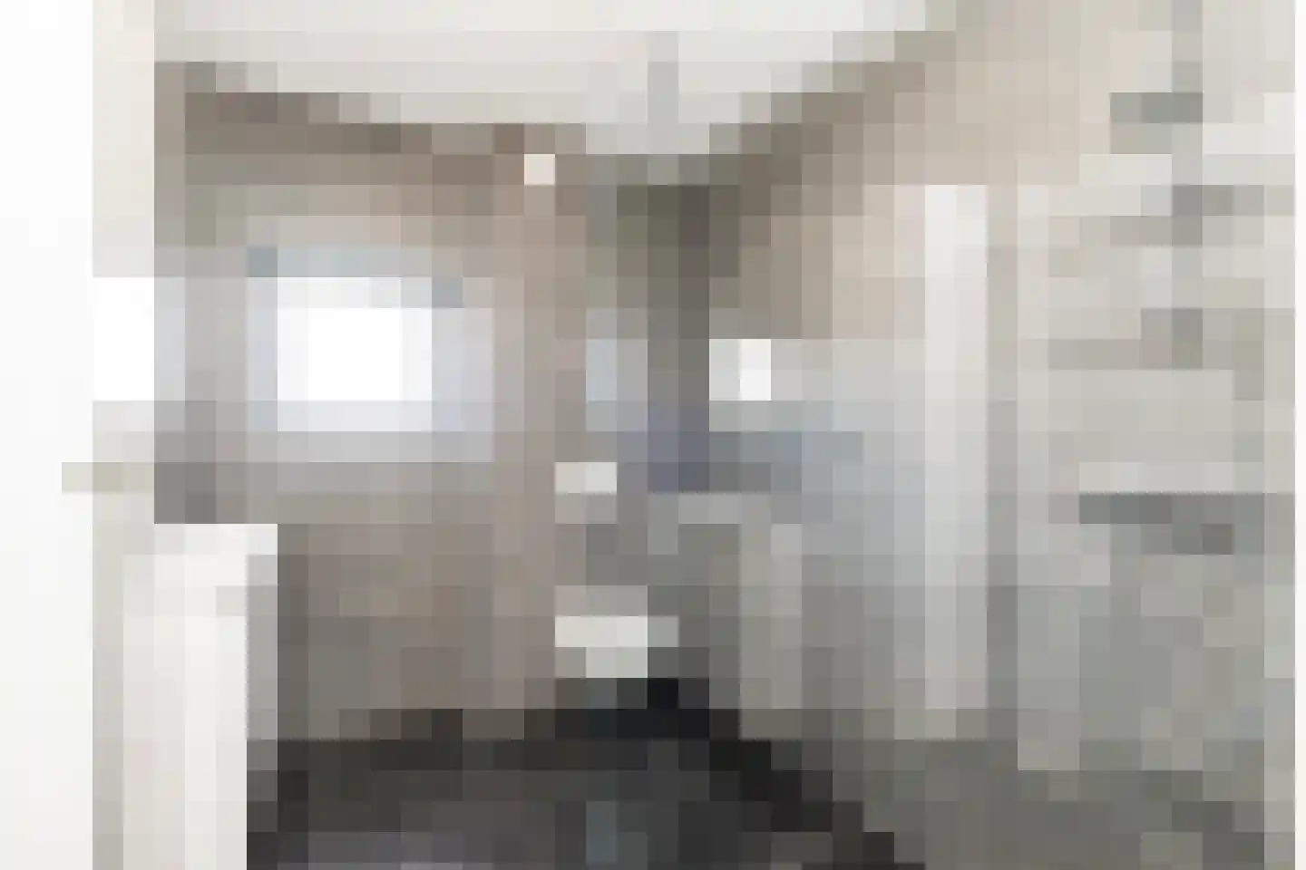 Het Melkmeisje 2 Dronten thumbnail 21