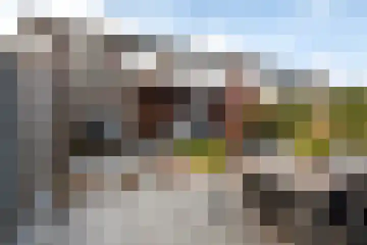 Het Melkmeisje 2 Dronten thumbnail 24