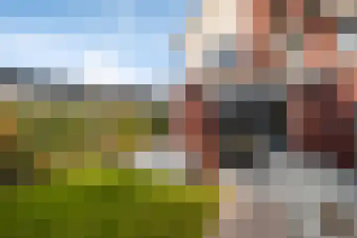 Het Melkmeisje 2 Dronten thumbnail 25