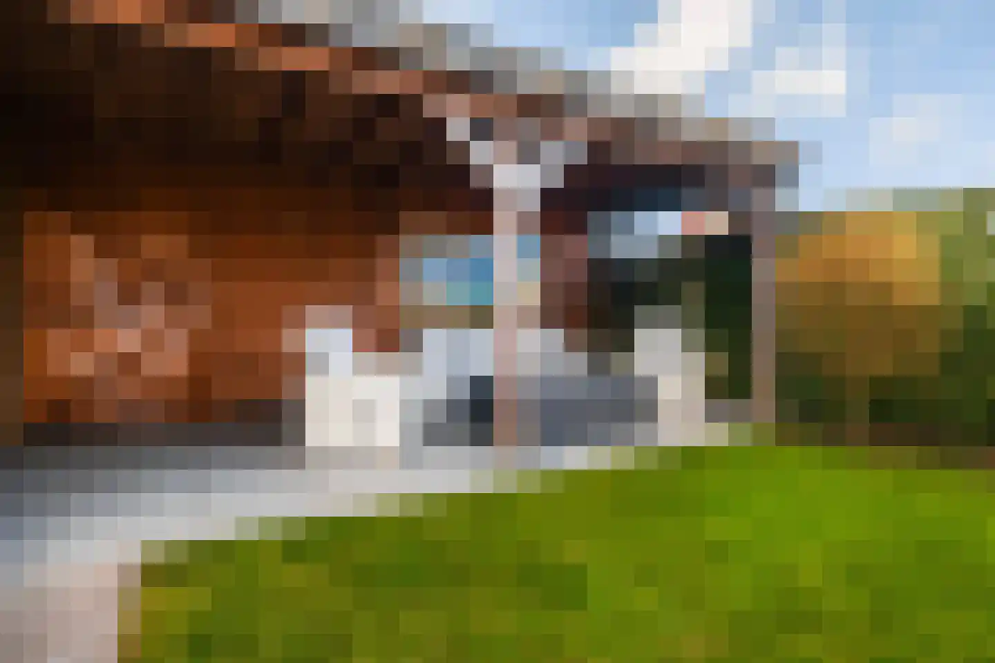 Het Melkmeisje 2 Dronten thumbnail 26