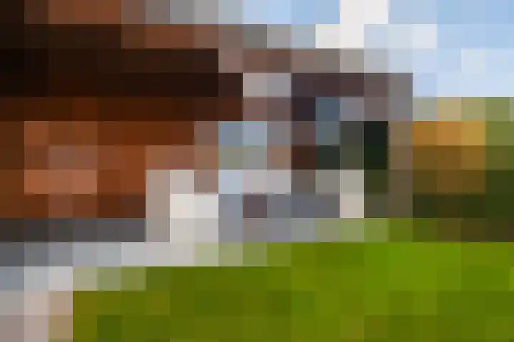 Het Melkmeisje 2 Dronten thumbnail 26