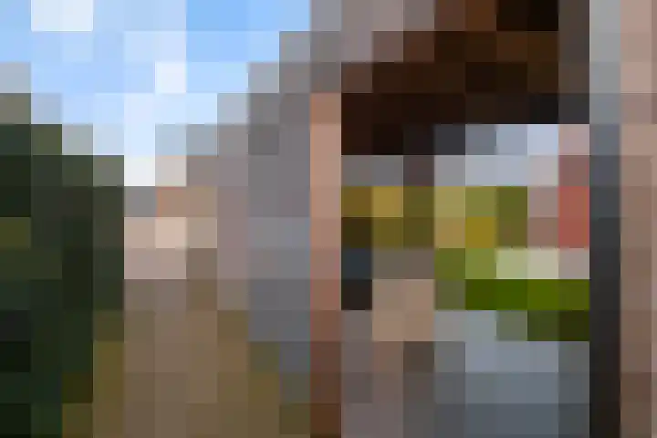 Het Melkmeisje 2 Dronten thumbnail 27