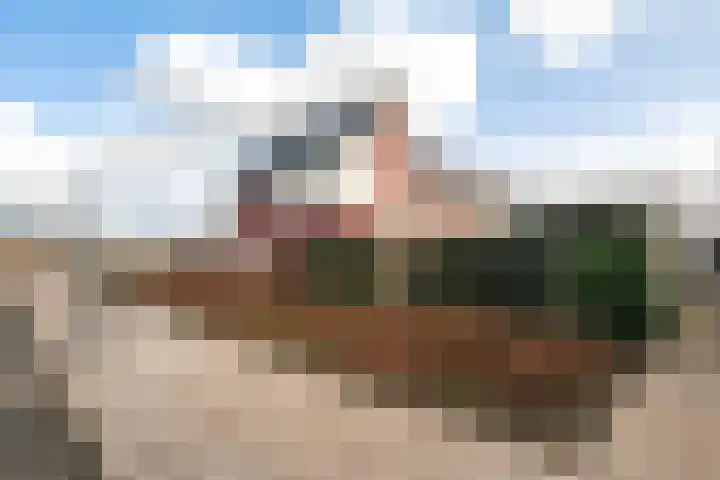 Het Melkmeisje 2 Dronten thumbnail 28