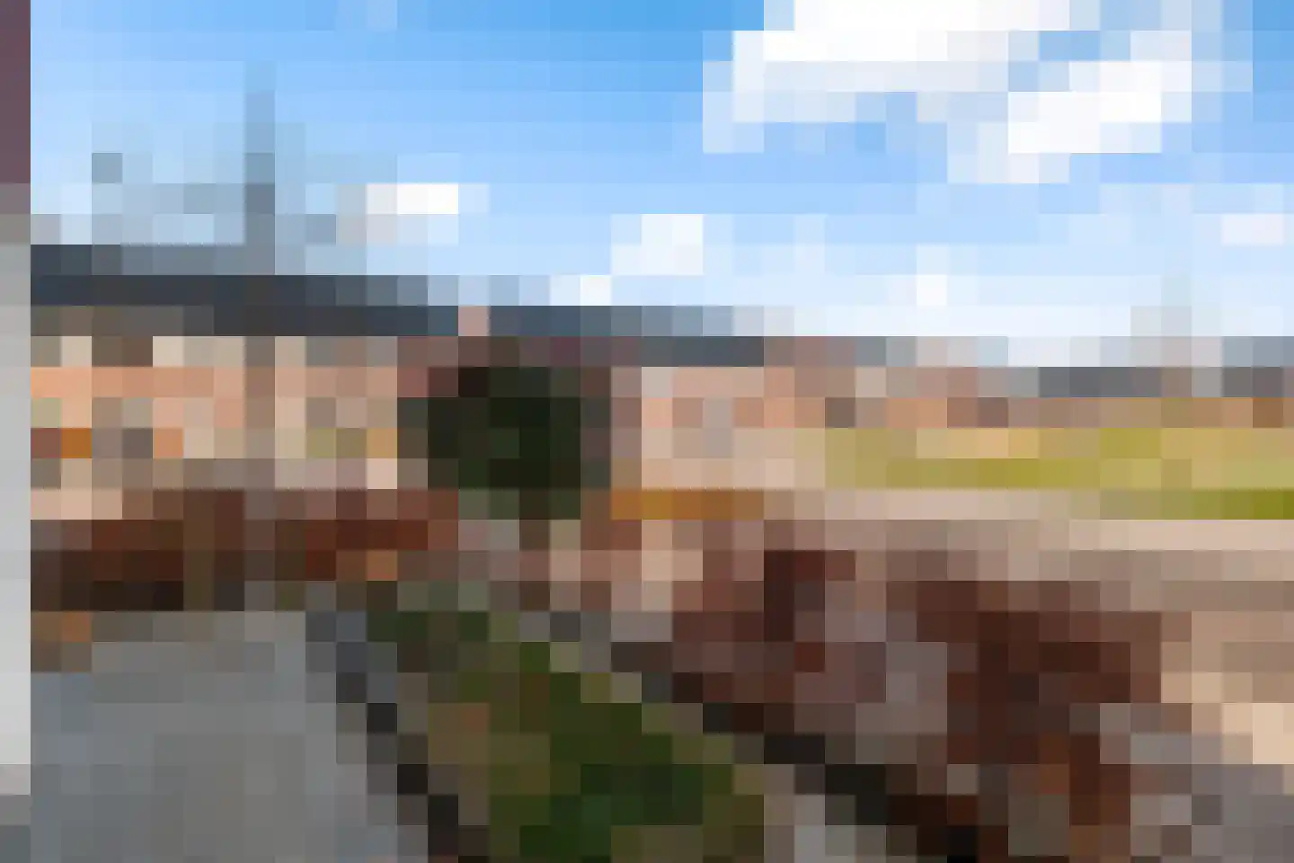 Het Melkmeisje 2 Dronten thumbnail 30