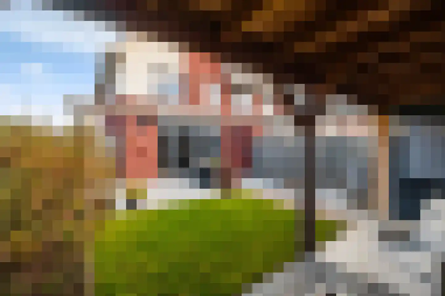 Het Melkmeisje 2 Dronten thumbnail 5