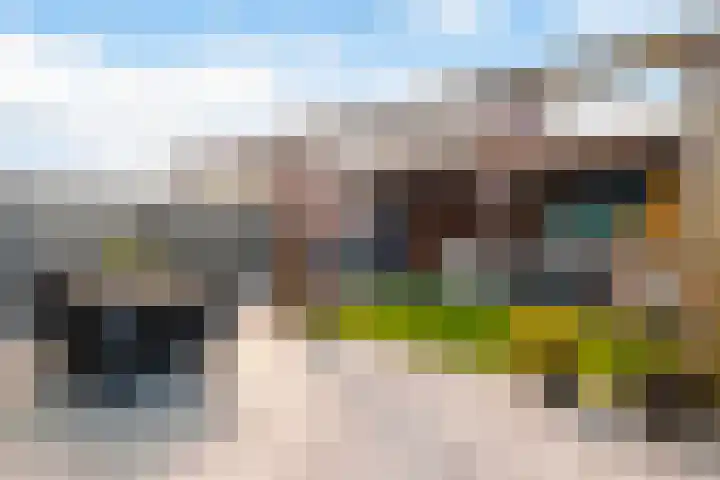 Het Melkmeisje 2 Dronten thumbnail 6