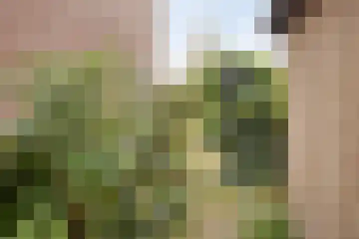 Het Menkveld 36 Warnsveld thumbnail 33