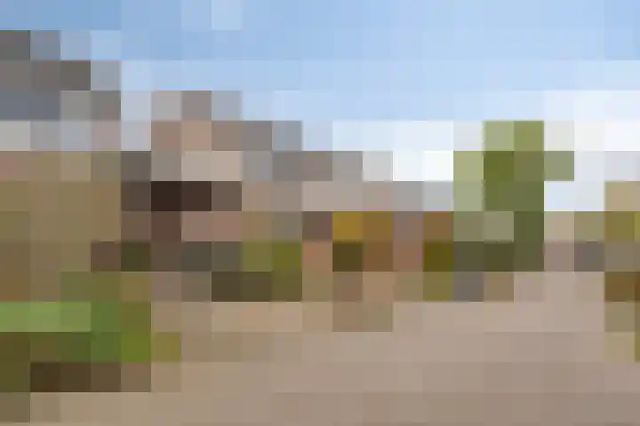 Het Menkveld 36 Warnsveld thumbnail 36