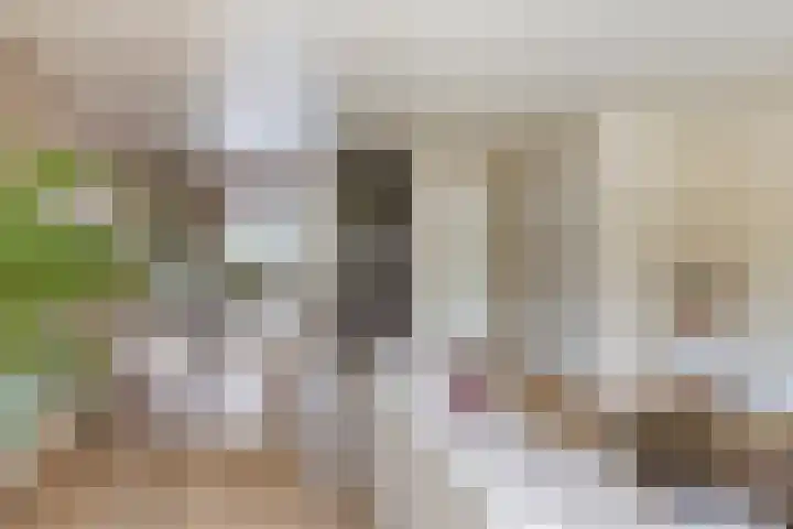 Het Menkveld 36 Warnsveld thumbnail 7