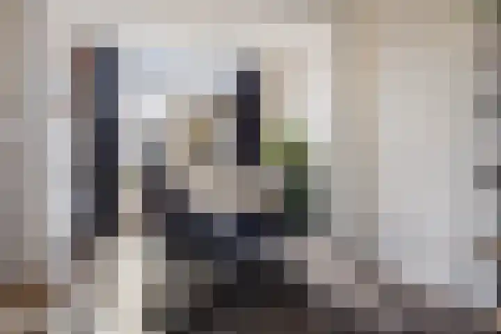 Het Midden 19 Bant thumbnail 10